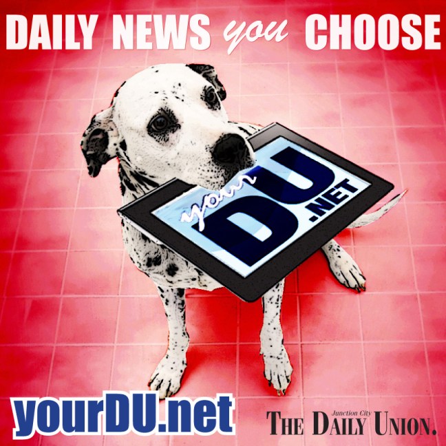 8'x8' DAILY the Dalmation (raster-based)